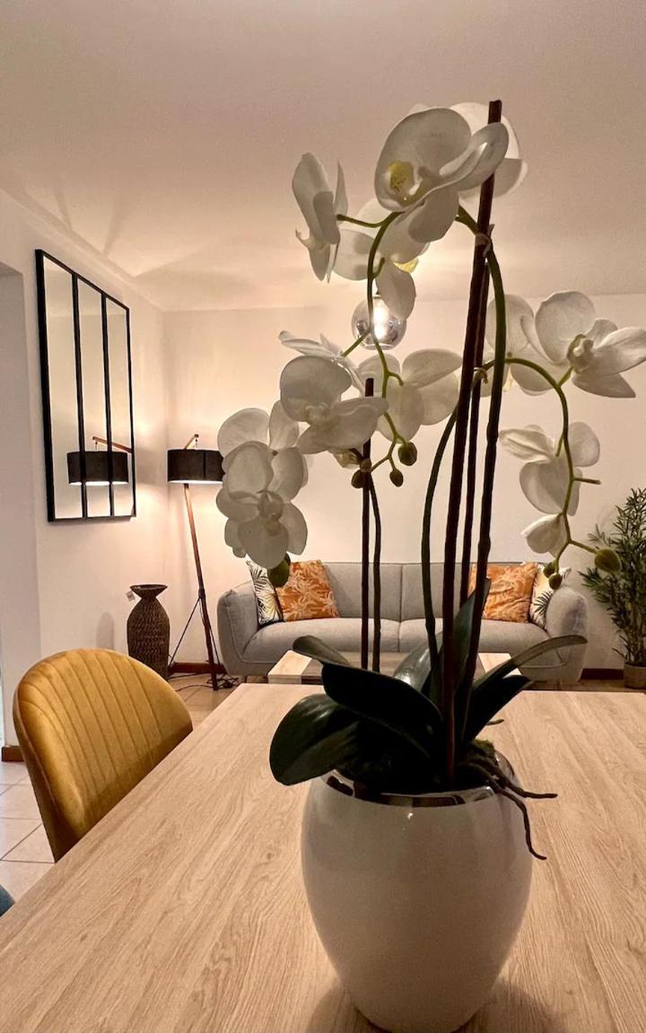 Apartament Chez Gerard Saint Pierre Zewnętrze zdjęcie