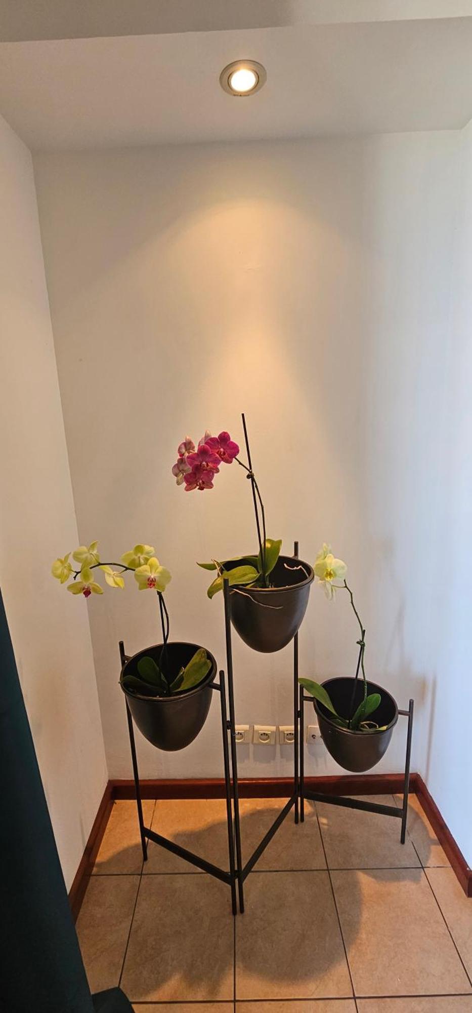 Apartament Chez Gerard Saint Pierre Zewnętrze zdjęcie